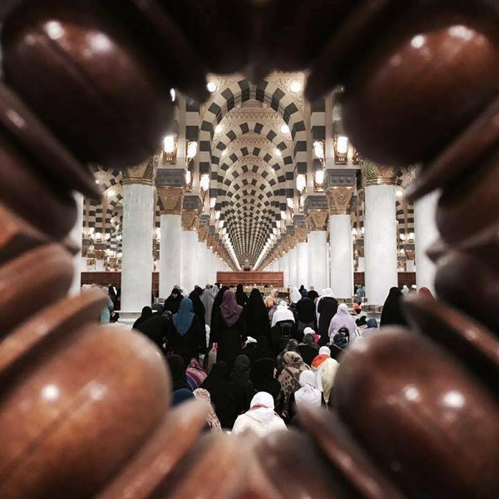 45812594_10156641350965535_9774164449689600_n